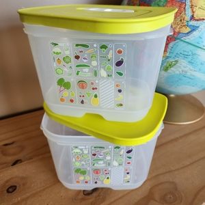 Tupperware FridgeSmart small deep container  set of 2
